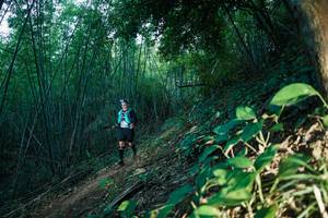 BIB: 
                            <button type="button" onclick="openModal(28124966)" class="btn btn-primary btn-sm float-right btn-popup" data-toggle="modal" data-target=".modal-high-quality">
                        <i class="fas fa-shopping-cart"></i> Add to Cart
                    </button>
                                            <button type="button" onclick="isThisMe(28124966, true)" class="btn btn-success btn-sm float-right btn-popup btn-isme hidden" data-toggle="tooltip" data-placement="bottom" title="นี่คือรูปของคุณใช่ไหม คลิกที่นี่เพื่อเอาเข้าอัลบั้ม">
                        <i class="fas fa-plus"></i> Add to album
                    </button>
                    <button type="button" onclick="isThisMe(28124966, false)" class="btn btn-warning btn-sm float-right btn-popup btn-isnotme hidden">
                        <i class="fas fa-ban"></i> Remove from album
                    </button>